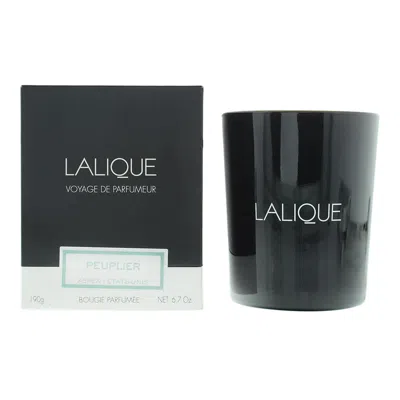 Lalique Unisex Peuplier Aspen Etats-unis 6.7 oz Scented Candle 7640111505938
