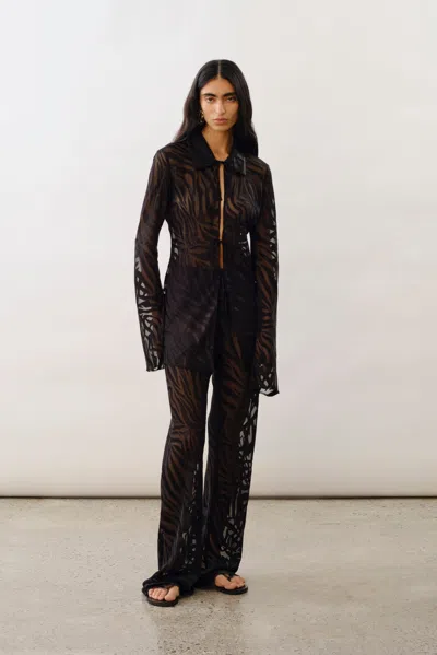 Lamarque Becky Sheer Zebra Pants In Animal Print