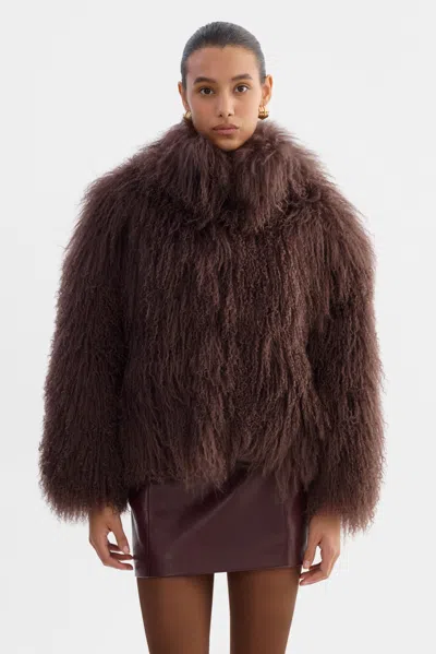 Lamarque Bianca Mongolian Shearling Jacket In Brown