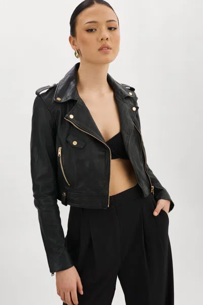 Lamarque Ciara Gold Cropped Leather Biker Jacket In Black
