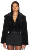 Lamarque Danika Cropped Jacket In Black