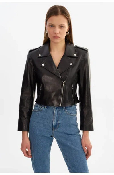 Lamarque Denalda | Leather Cropped Biker Jacket In Black
