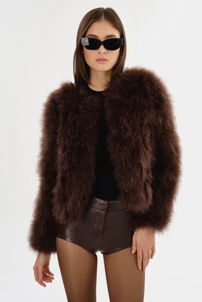 Lamarque Deora Feather Jacket In Chocolate