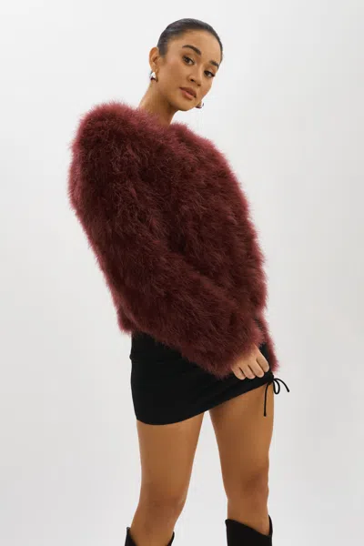 Lamarque Deora Feather Jacket In Brown