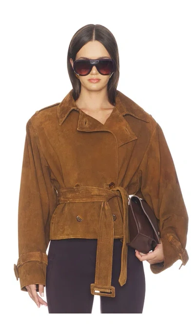 Lamarque Dhana Jacket In Brown