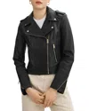 Lamarque Dylan Jacket In Black