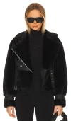 Lamarque Elody Jacket In Black