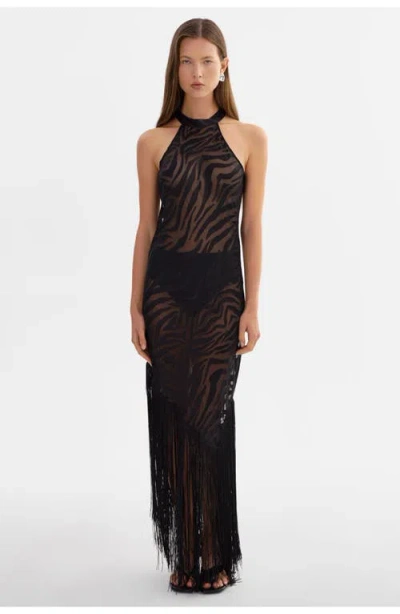 Lamarque Jennine | Zebra Sheer Dress In Multi