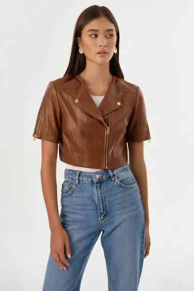 Lamarque Kirsi Gold Cropped Biker Jacket In Brown