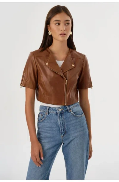 Lamarque Kirsi Gold | Cropped Biker Jacket In Brown