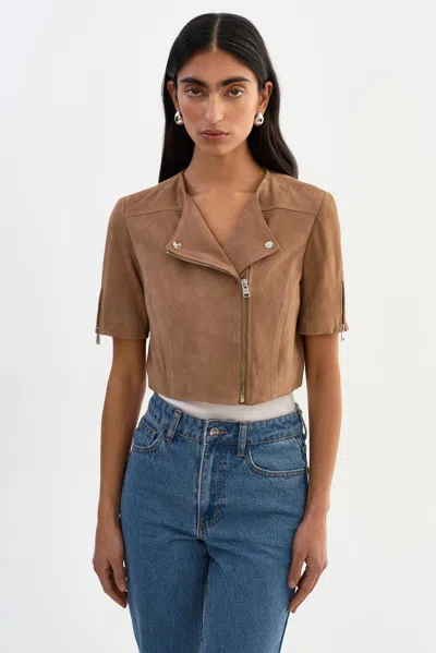 Lamarque Kirsi S Cropped Suede Jacket In Brown
