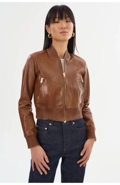 Lamarque Kordella | Reversible Leather Bomber Jacket In Brown