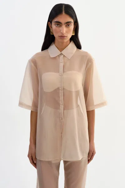 Lamarque Manda Sheer Organza Shirt In Brown