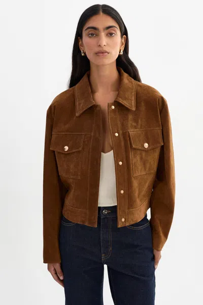 Lamarque Merida Genuine Suede Shacket In Brown