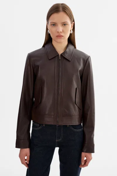 Lamarque Tess Leather Jacket In Brown