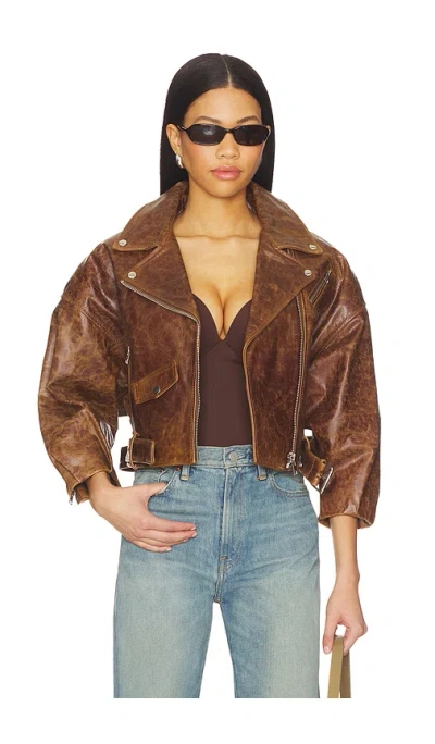 Lamarque Vinnie Jacket In Brown