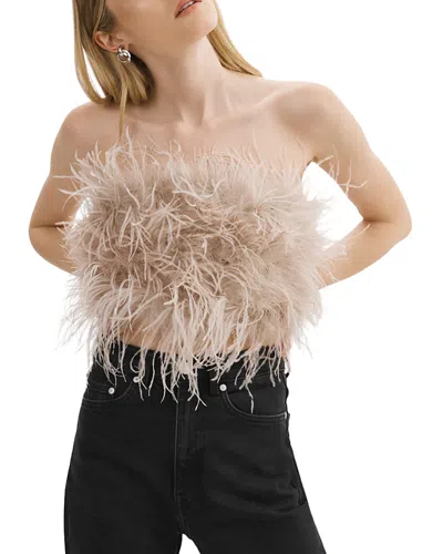 Lamarque Zaina Feather Bustier Top In Dusty Rose