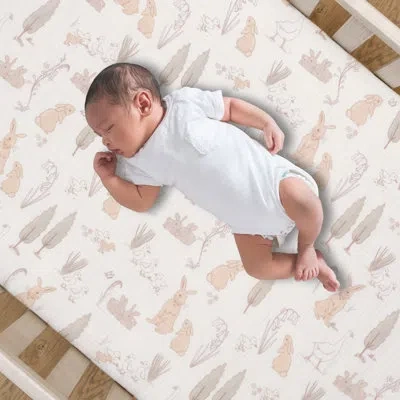 Lambs & Ivy Bunny Hop Sheet In Cream