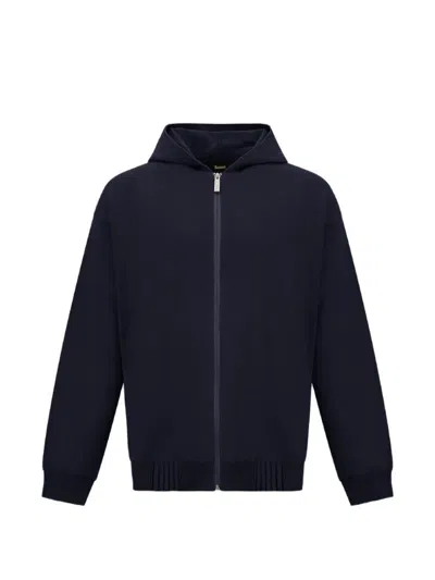 Laminar Hooded Zip Sweatshirt In Blue