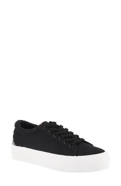 Lamo Amelie Platform Sneaker In Black