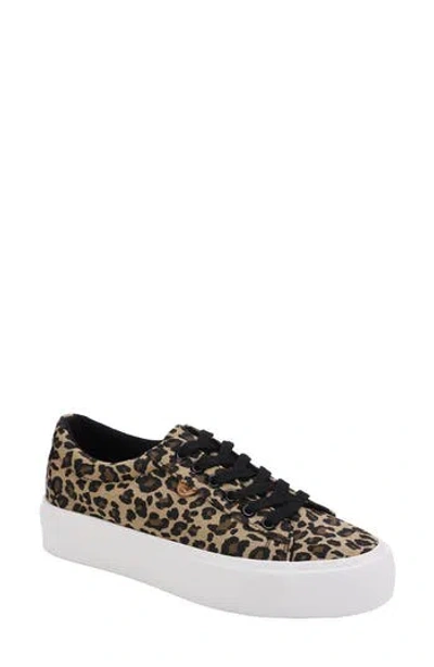 Lamo Amelie Platform Sneaker In Animal Print