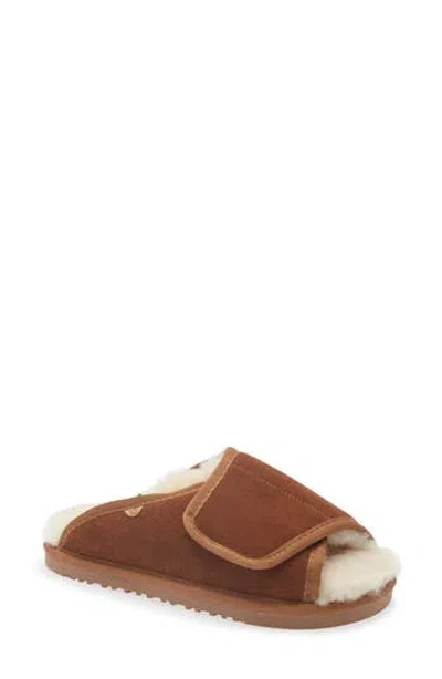 Lamo Apma Genuine Shearling Leather Slipper In Chestnut