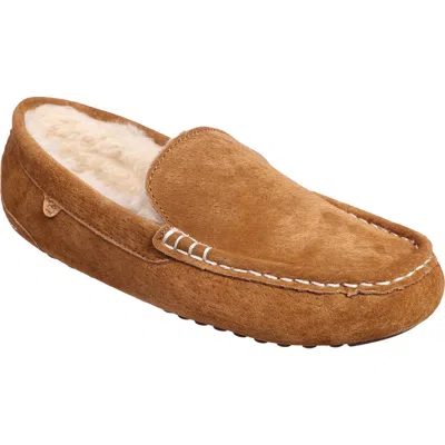 Lamo Callie Faux Fur Lined Slipper In Chestnut