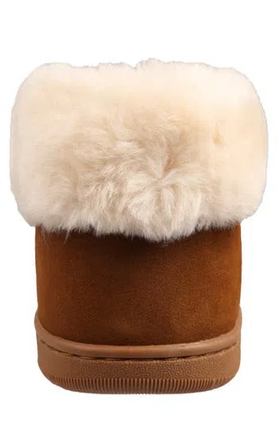 Lamo Henry Genuine Shearling & Faux Fur Slipper Bootie In Chestnut