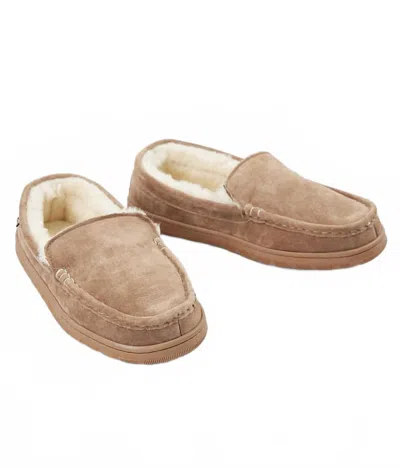 Lamo Men's Harrison Moccasin In Chestnut In Brown
