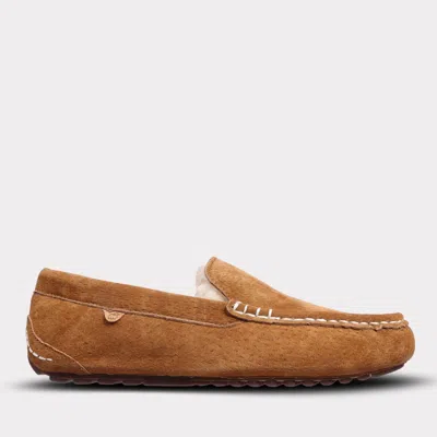 Lamo Women's Callie Slip-on Moccasin In Chestnut In Brown
