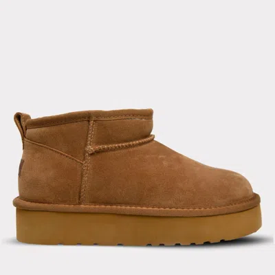 Lamo Women's Ellie Platform Boot In Chestnut In Brown