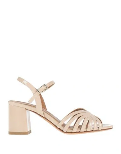 L'amour By Albano Woman Sandals Blush Size 6 Textile Fibers In Pink