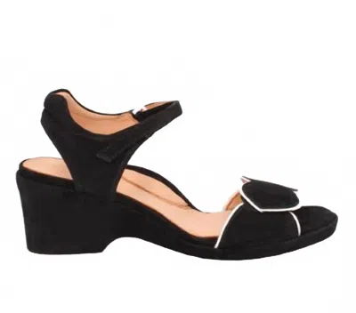 L'amour Des Pieds Women's Marora Suede Sandal In Black/white