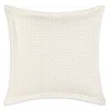Lands Downunder Leaf Cotton Euro Sham In Putty