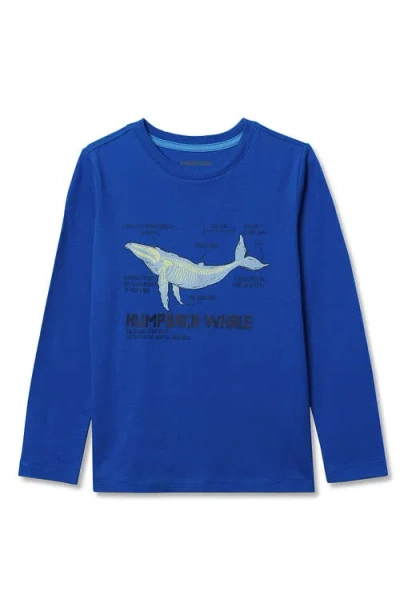 Lands' End Kids'  Boys Graphic T Shirt