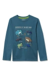 Lands' End Boys Husky Long Sleeve Graphic Tee In Blue