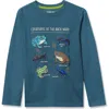 Lands' End Kids'  Boys Husky Long Sleeve Graphic Tee In Blue