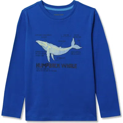 Lands' End Kids'  Boys Husky Long Sleeve Graphic Tee
