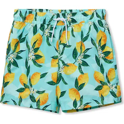 Lands' End Kids'  Boys Print Swim Trunks In Blue