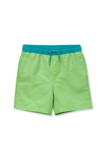 Lands' End Kids'  Boys Print Swim Trunks In Green