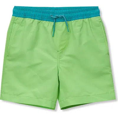 Lands' End Kids'  Boys Print Swim Trunks In Green