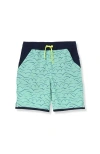 Lands' End Kids'  Boys Slim Stretch Hydroliner Swim Trunks In Teal Waves