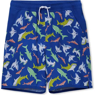Lands' End Kids'  Boys Stretch Hydroliner Sport Swim Trunk In Blue