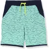 Lands' End Kids'  Boys Stretch Hydroliner Sport Swim Trunk In Teal Waves