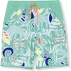 Lands' End Kids'  Boys Stretch Hydroliner Sport Swim Trunk In Tiki Aqua