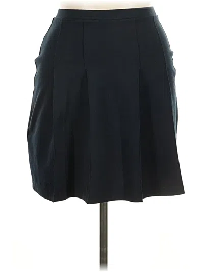 Pre-owned Lands' End Casual Skirt In Blue