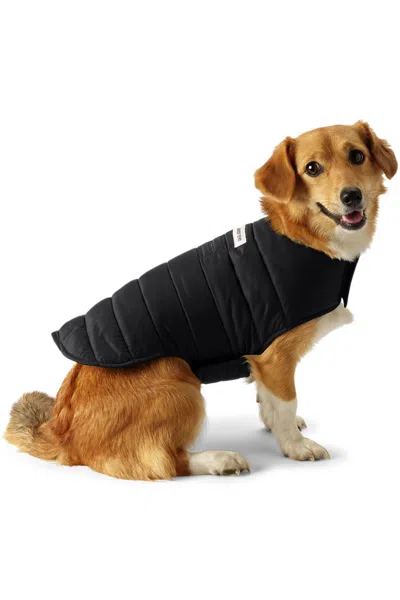 Lands' End Dog Coat Wanderweight Jacket In Black