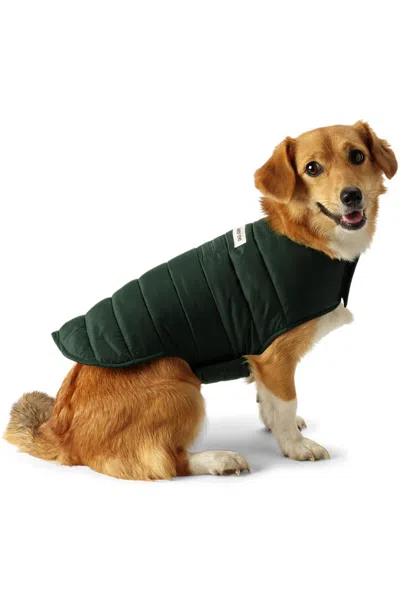 Lands' End Dog Coat Wanderweight Jacket In Green
