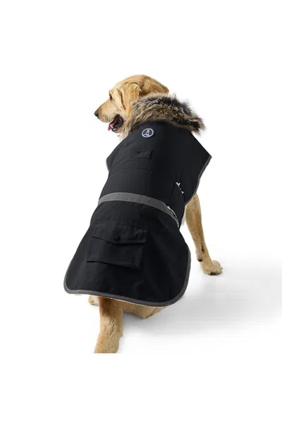 Lands' End Dog Expedition Winter Jacket In Animal Print