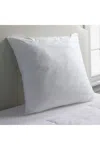 Lands' End Euro Pillow Insert In White